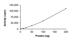 BMX Protein, Rat, Recombinant (GST)