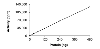 ALK-2/ACVR1 Protein, Human, Recombinant (Q207D, GST)